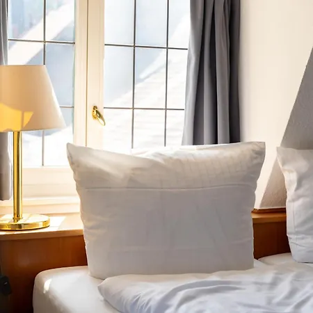 Zum Ritter מלון היידלברג