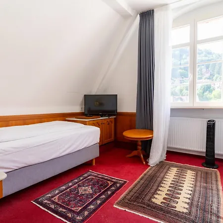 Zum Ritter St Georg - Oldest Residential Building In Since 1592 3* היידלברג