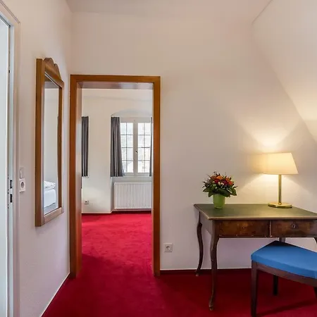 Zum Ritter St Georg - Oldest Residential Building In Since 1592 היידלברג