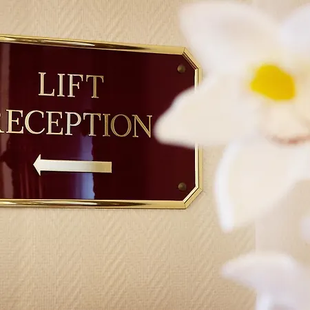 Zum Ritter היידלברג