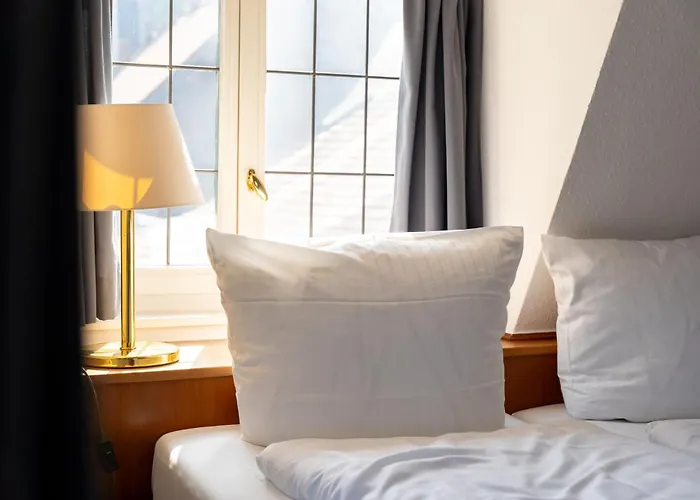 Zum Ritter St Georg - Oldest Residential Building In Since 1592 Hotel Heidelberg